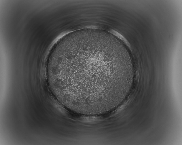 X0000086081027200703301124