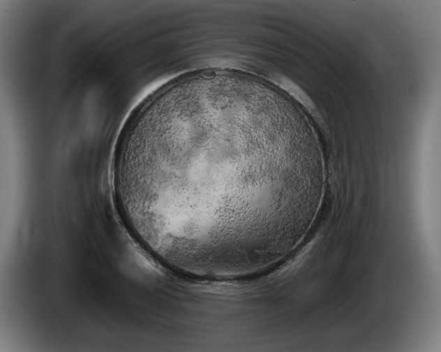 X0000086081028200703301124