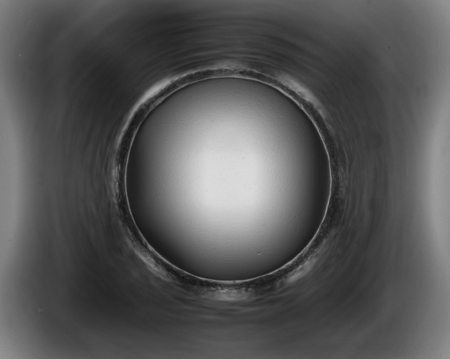 X0000086081029200703301124