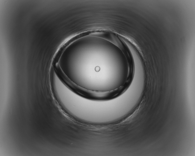 X0000086081030200703301124