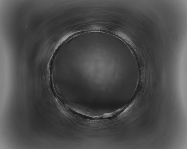 X0000086081031200703301124