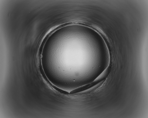 X0000086081032200703301124