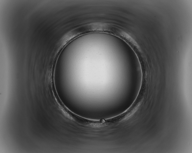 X0000086081033200703301124