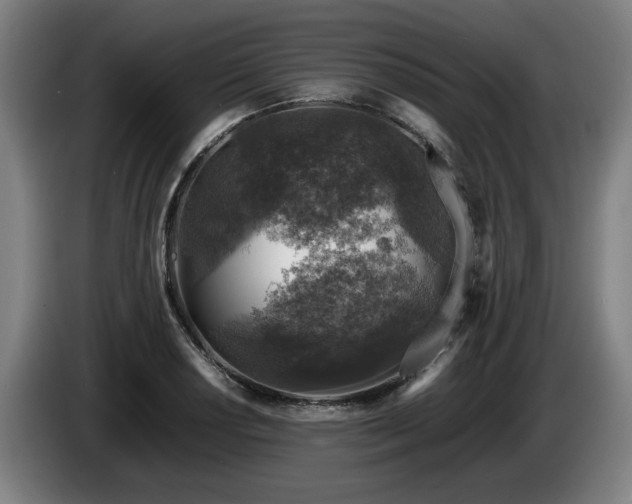 X0000086081034200703301124