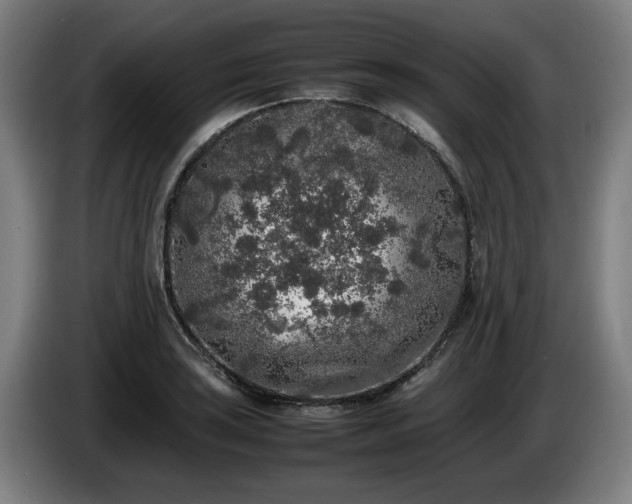 X0000086081035200703301124