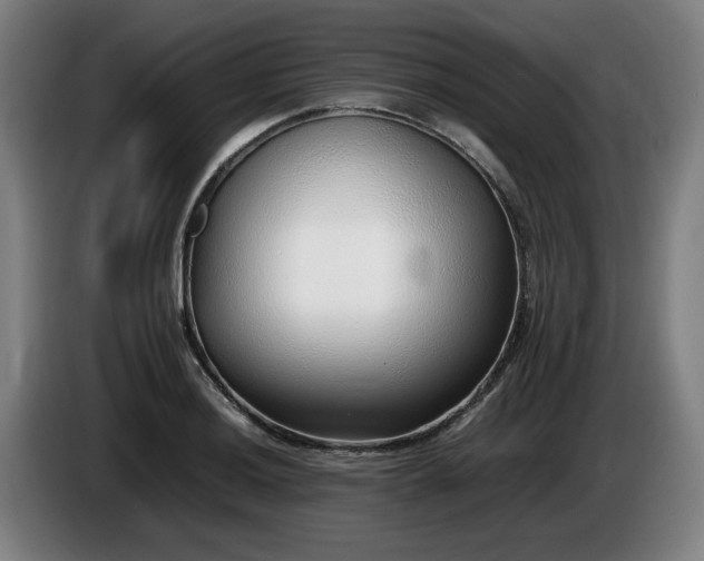 X0000086081036200703301124