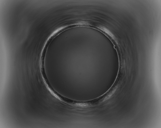 X0000086081037200703301124