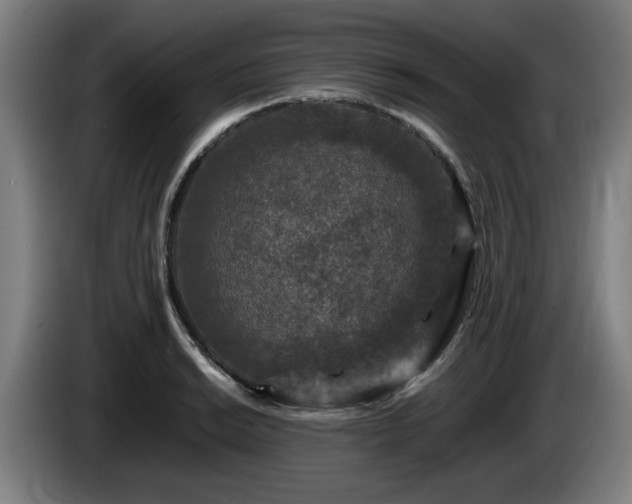 X0000086081038200703301124