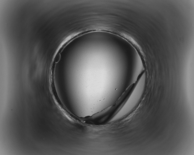 X0000086081040200703301124