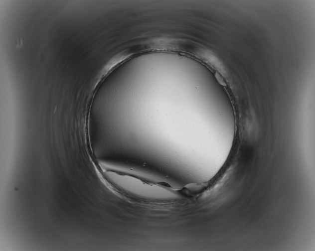 X0000086081041200703301124