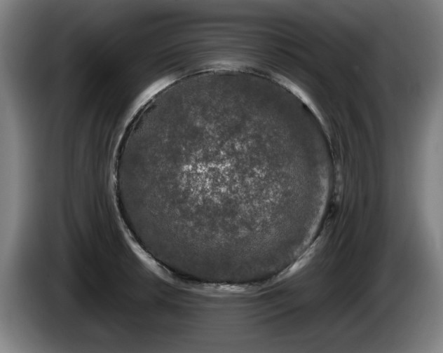 X0000086081042200703301124