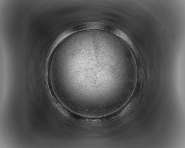 X0000086081043200703301124