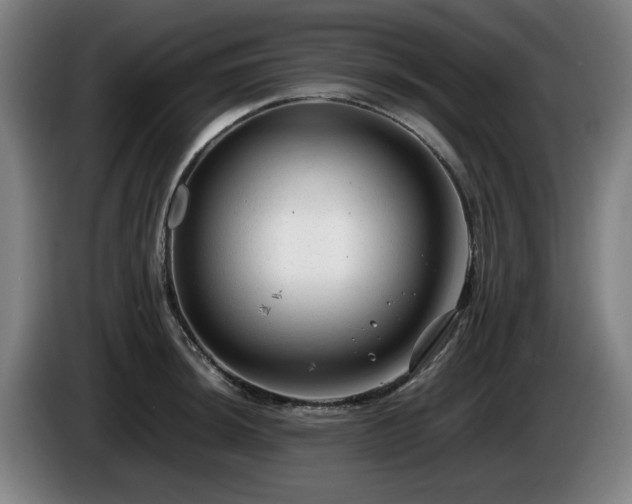 X0000086081044200703301124