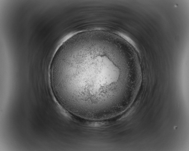 X0000086081047200703301124