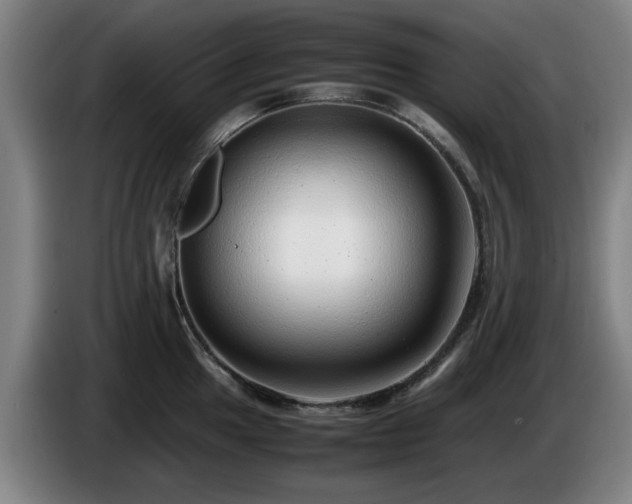 X0000086081049200703301124