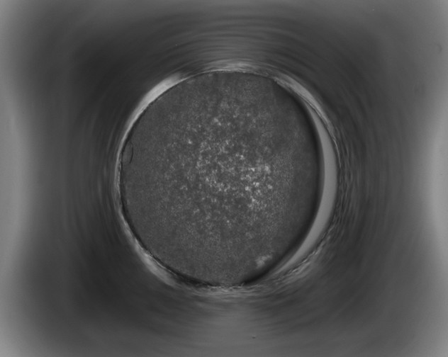 X0000086081050200703301124