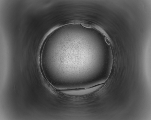 X0000086081051200703301124