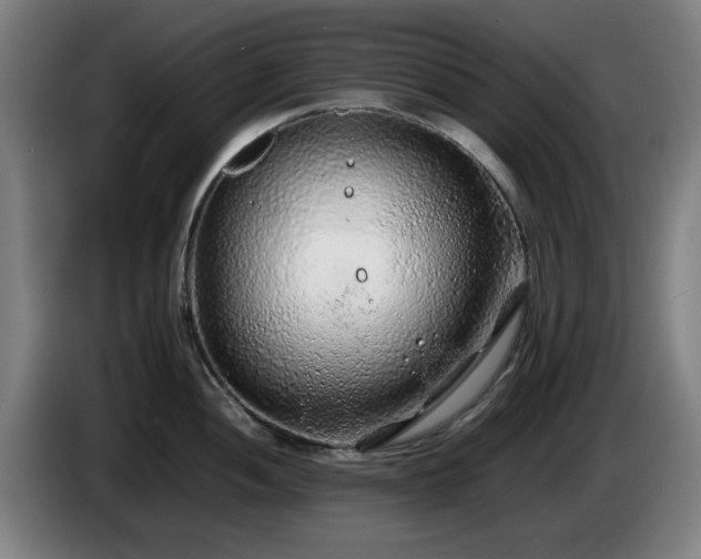 X0000086081052200703301124