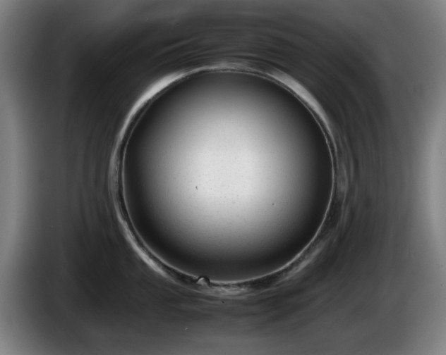 X0000086081053200703301124