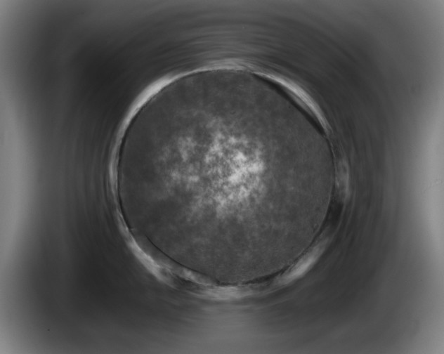 X0000086081054200703301124