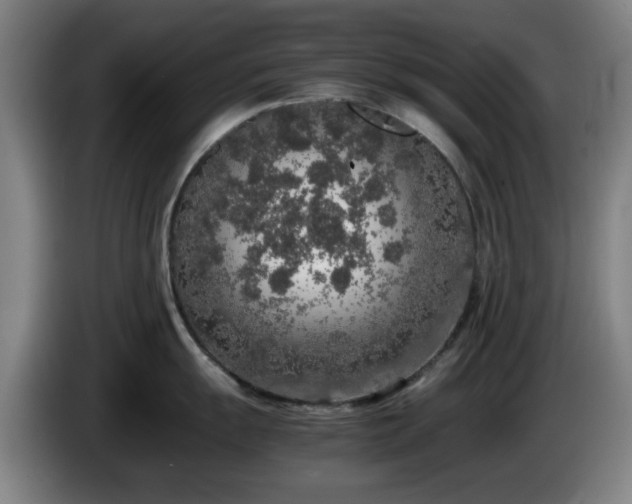 X0000086081055200703301124