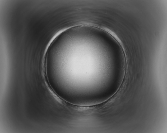 X0000086081056200703301124