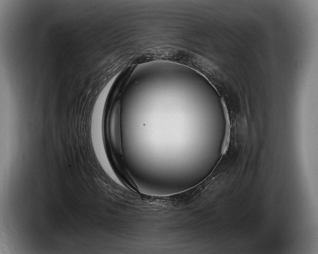 X0000086081058200703301124