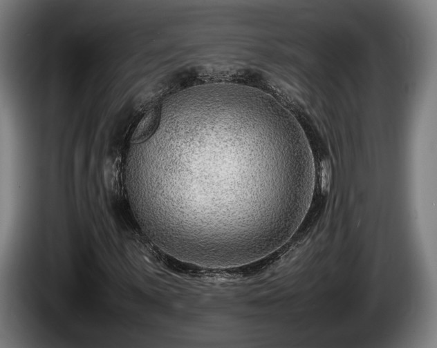 X0000086081059200703301124