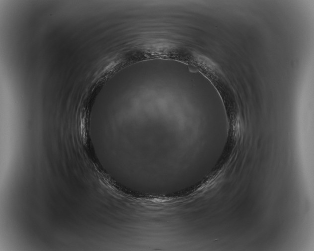 X0000086081060200703301124