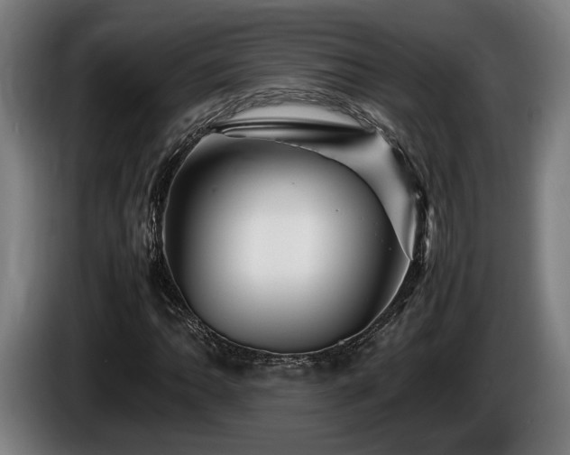 X0000086081062200703301124