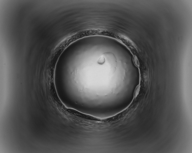 X0000086081064200703301123