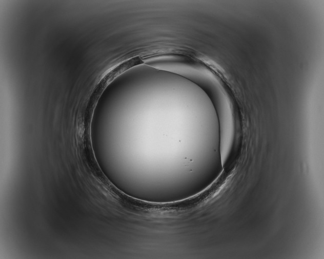 X0000086081065200703301123