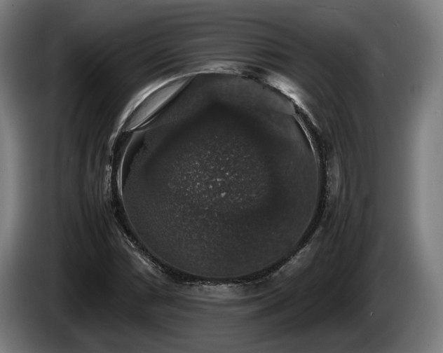 X0000086081066200703301123