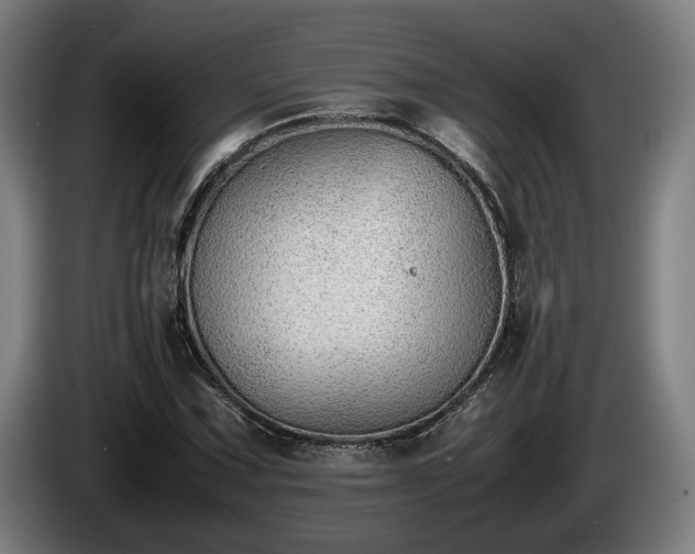 X0000086081067200703301123