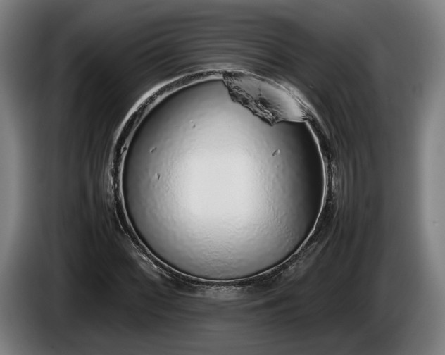 X0000086081068200703301123