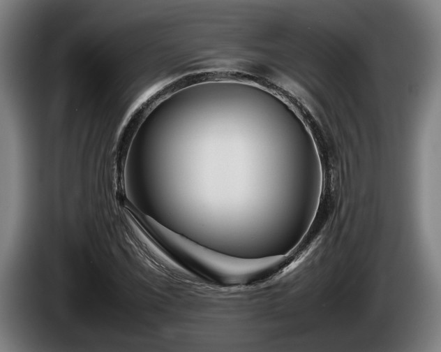 X0000086081069200703301123