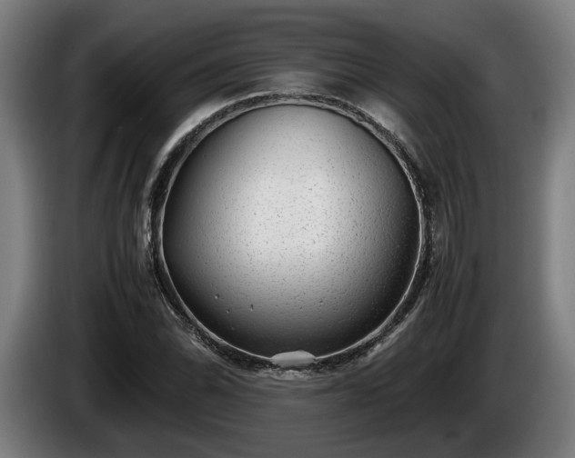 X0000086081070200703301123