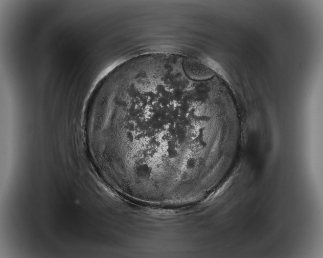 X0000086081071200703301123