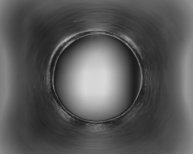 X0000086081072200703301123