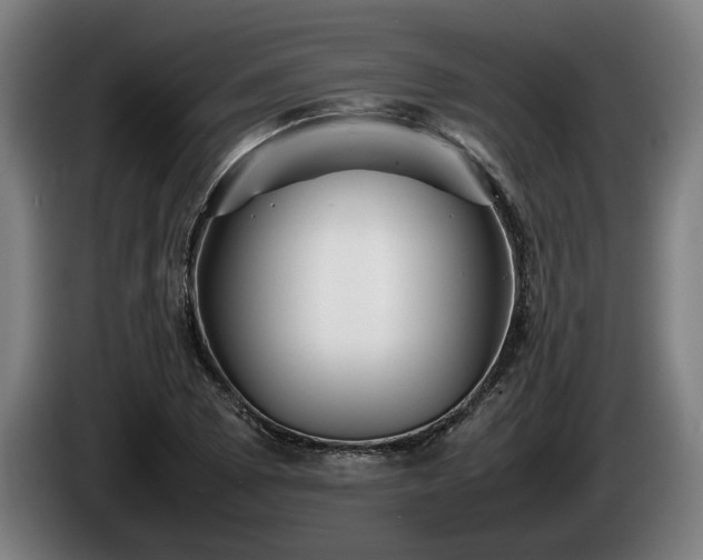 X0000086081073200703301123