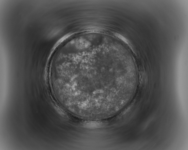 X0000086081074200703301123