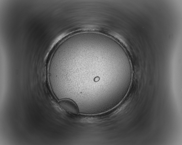 X0000086081075200703301123