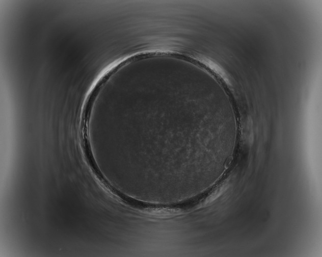 X0000086081077200703301123