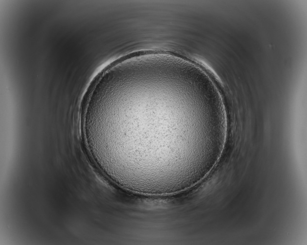 X0000086081079200703301123