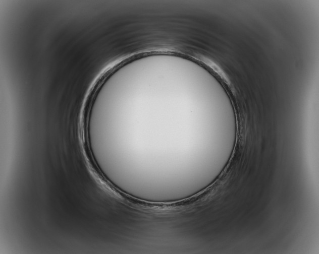 X0000086081080200703301123