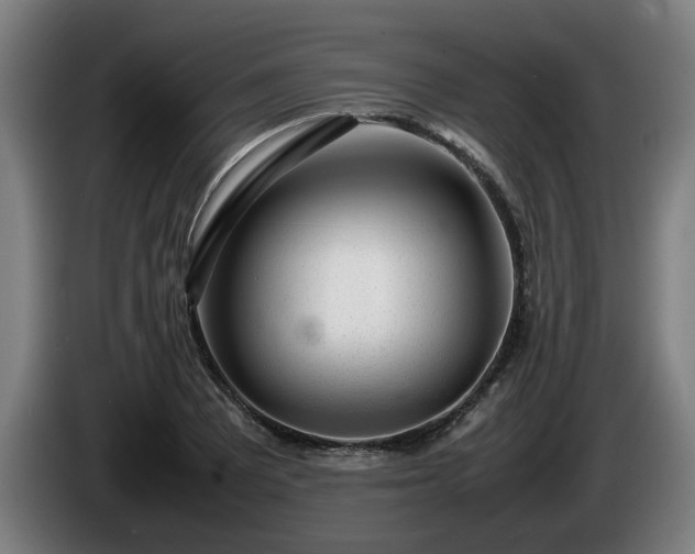 X0000086081081200703301123