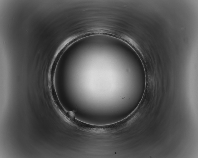 X0000086081082200703301123