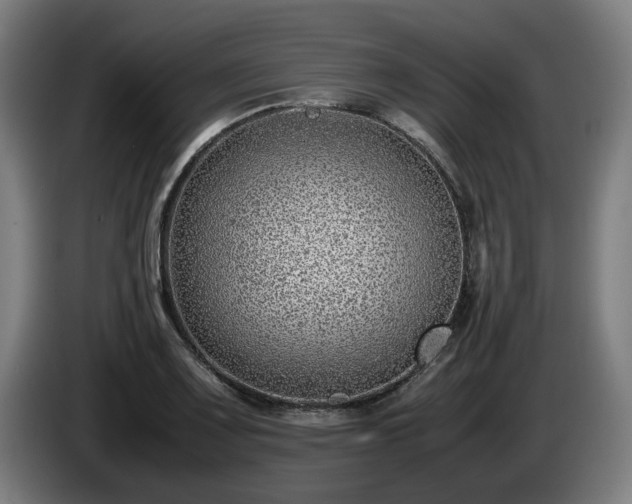 X0000086081083200703301123