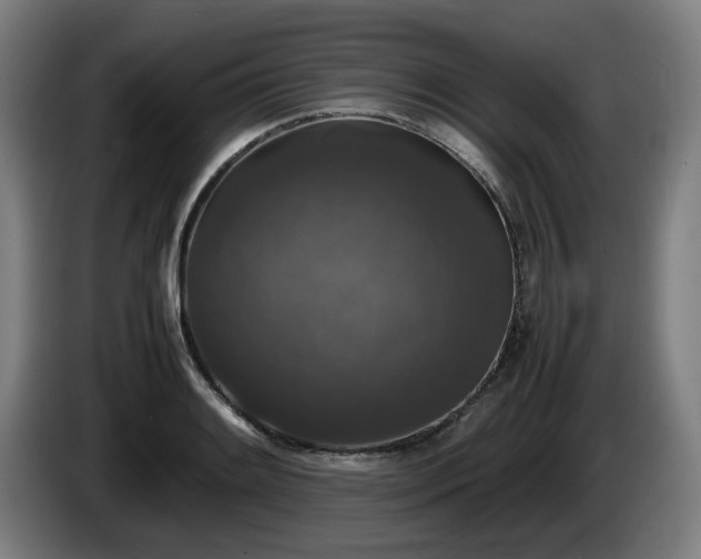 X0000086081084200703301123