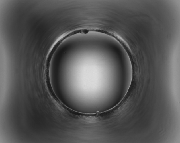 X0000086081085200703301123